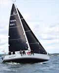 © Stamford Yacht Club Vineyard Race © Stamford Yacht Club