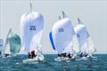 J/22 North American Championship final day © Gretchen Dorian