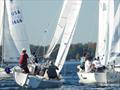 J/22 North American Championship 2025 © J/22 International Class Association