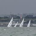J/24 Worlds in Plymouth, UK - Day 4 © Joe Woodyear & Chambers film & media