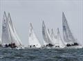 J/24 Worlds in Plymouth, UK - Day 4 © Joe Woodyear & Chambers film & media