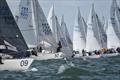 © Joe Woodyear & Chambers film & media J/24 Worlds in Plymouth, UK - Day 5 © Joe Woodyear & Chambers film & media