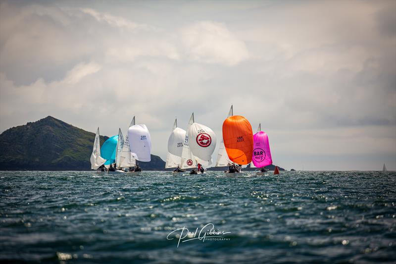 J/24s at the PPSA Port of Plymouth Regatta - photo © Paul Gibbins Photography