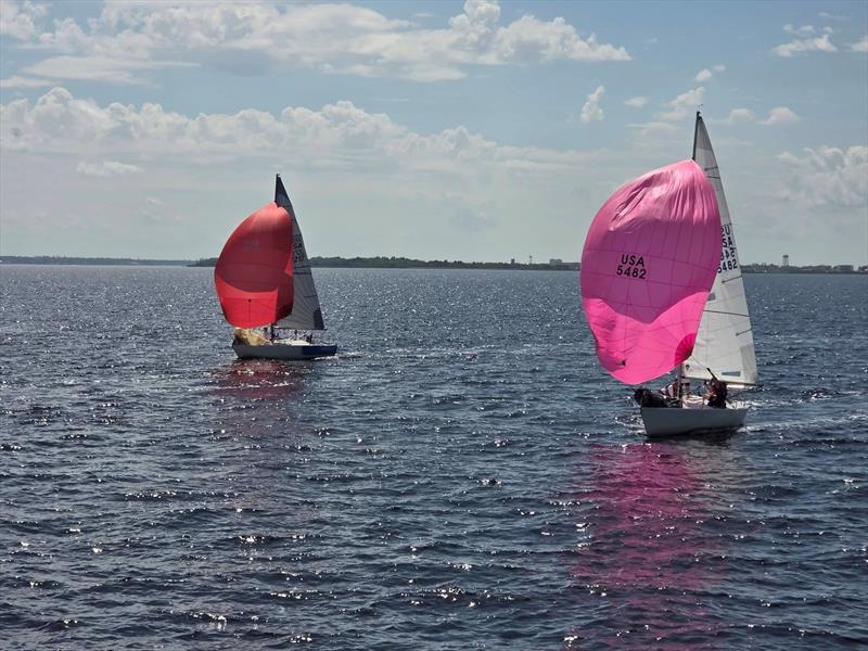 2026 J/24 Midwinter Championship day 3 - photo © USA J/24 Class Association