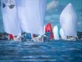 2025 J/70 Corinthian World Championship © Hannah Lee Noll