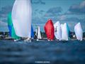 2025 J/70 Corinthian World Championship © Hannah Lee Noll
