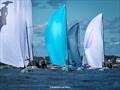 2025 J/70 Corinthian World Championship © Hannah Lee Noll