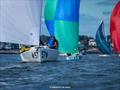 2025 J/70 Corinthian World Championship © Hannah Lee Noll