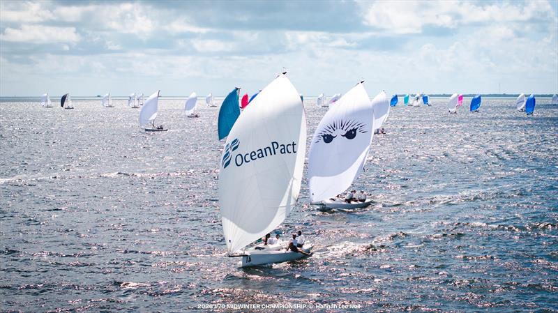 OceanPact and Hedgehog finished 1-2 in Race One on Friday at the 2026 J/70 Midwinter Championship photo copyright Hannah Lee Noll taken at Shake-A-Leg Miami and featuring the J70 class