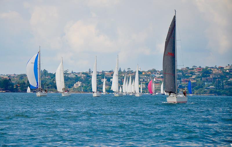 2018 NSW Jeanneau Rendezvous - photo © Mainsheet Media