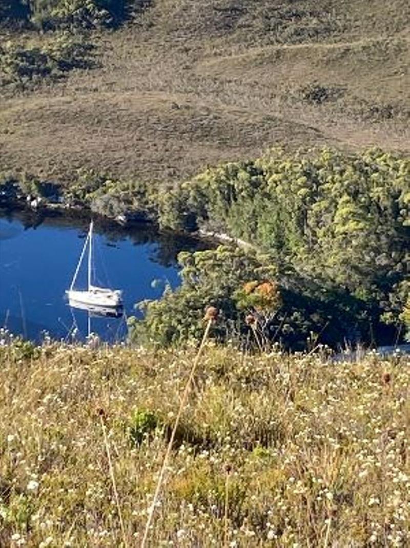 Sun Odyssey 410 photo copyright Performance Boating taken at  and featuring the Jeanneau class