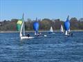 Craftinsure Lark Open at Shustoke © Shustoke Sailing Club