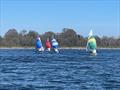 Craftinsure Lark Open at Shustoke © Shustoke Sailing Club