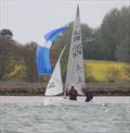 Larks at the Waldringfield Easter Egg 2025 © Alexis Smith