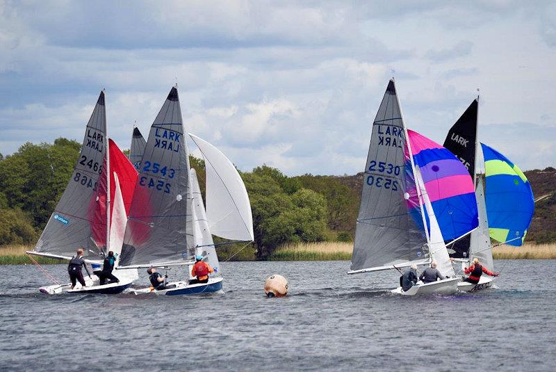 Lark Craftinsure Traveller's Series at Frensham photo copyright Jonathan Inglesfield taken at Frensham Pond Sailing Club and featuring the Lark class