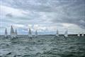 Rooster ILCA open meeting at Stokes Bay &copy; SBSC