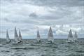 Rooster ILCA open meeting at Stokes Bay &copy; SBSC