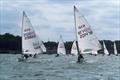 ILCA Eastern Area GP at Royal Harwich &copy; Steve Le Grys