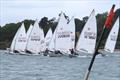 Start line off Pin Mill - ILCA Eastern Area GP at Royal Harwich &copy; Steve Le Grys