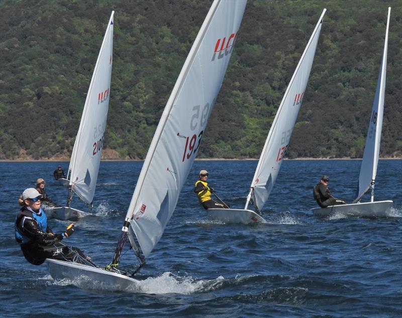 NZ ILCA National Championships - Day 3, Queen Charlotte Yacht Club, Picton - photo © Christel Hopkins