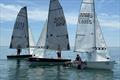 West Country Boat Repairs 2000 Millennium Series Round 4 at Shoreham &copy; SSC