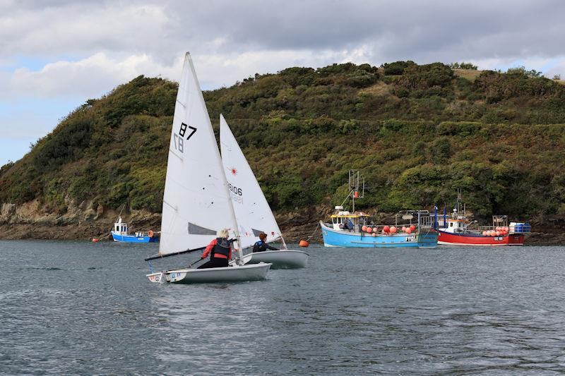 Salcombe YC Autumn Series race 4 photo copyright Lucy Burn taken at Salcombe Yacht Club and featuring the ILCA 4 class