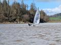 Finn Harris just off the Black Rock during the Solway Yacht Club Easter Weekend &copy; Richard Bishop