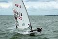 Rooster ILCA open meeting at Stokes Bay &copy; SBSC