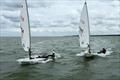 Rooster ILCA open meeting at Stokes Bay &copy; SBSC