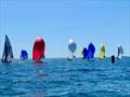 Sailing Chandlery SB20 UK National Championship at Weymouth © SB20 Class UK