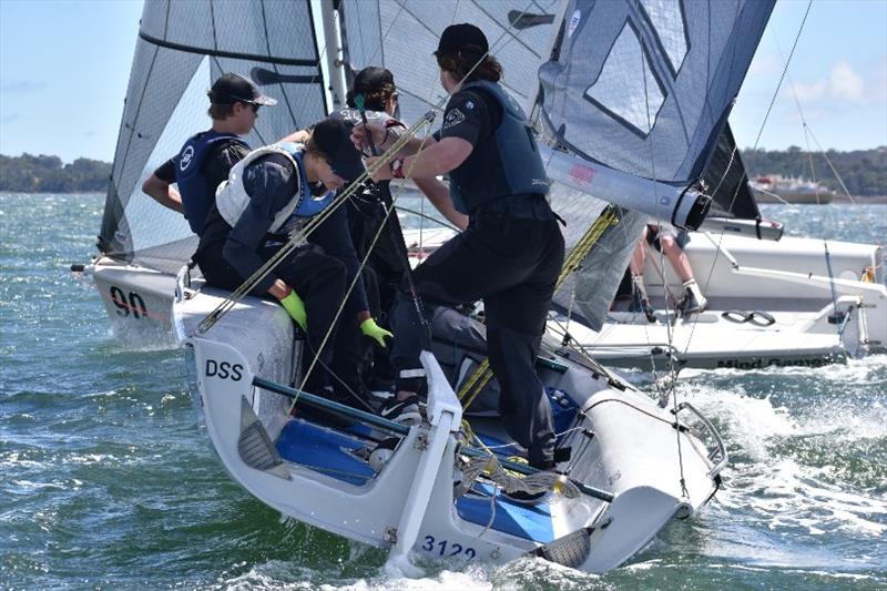 Taz Racing Team working hard on the water in the 6ty SB20 Tasmanian Championship photo copyright Jane Austin taken at Port Dalrymple Yacht Club and featuring the SB20 class