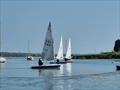 2025 Noble Marine Travellers' Trophy Lightning 368 Southern Championship at Up River Yacht Club © Terry Bagely