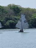 2025 Noble Marine Travellers' Trophy Lightning 368 Southern Championship at Up River Yacht Club © Terry Bagely