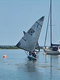 Simon Hopkins wins the 2025 Noble Marine Travellers' Trophy Lightning 368 Southern Championship at Up River Yacht Club © Terry Bagely