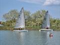 Ian Gore finishes 3rd (matching the sail number) in the 2025 Noble Marine Travellers' Trophy Lightning 368 Southern Championship at Up River Yacht Club © Terry Bagely