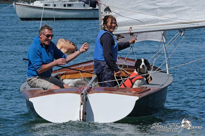 John and Linda Burthem with dog in their Falcon - Menai Straits Regatta 2022 - photo © Paul Hargreaves Photography