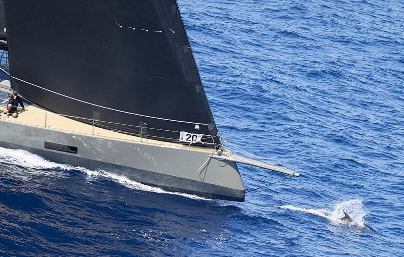 Maxi Yacht Rolex Cup - Open Season, Sail n.: GER 8468, Class: MAXI C, Model / Designer / Shipyard: Cafe Racer / Jaudenes / Baltic, Loa: `22, 66`, Owner: Thomas Bscher photo copyright Carlo Borlenghi taken at Yacht Club Costa Smeralda and featuring the Maxi class