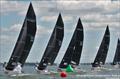 2025 Charleston Race Week © Priscilla Parker