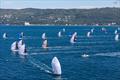 Race Day Five - Melges 24 World Championship 2025, Trieste, Italy © YCA / Giovanni Tesei