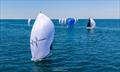 TAKI 4 in front of the fleet - Melges 24 European Sailing Series 2026 - Coppa Tito Nordio, Trieste, Italy &copy; IM24CA | Zerogradinord