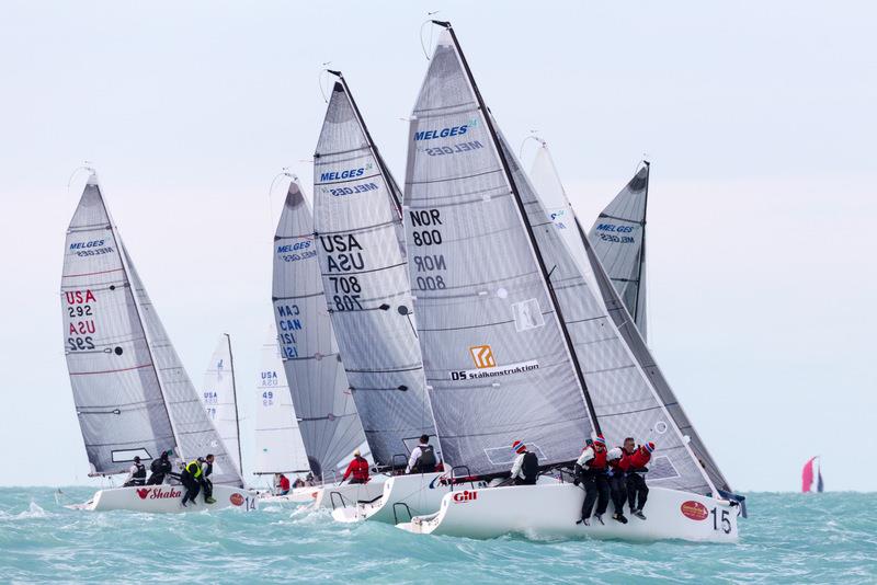 Melges 24s at Quantum Key West Race Week 2016 photo copyright IM24CA / ZGN / MMelandri taken at Storm Trysail Club and featuring the Melges 24 class