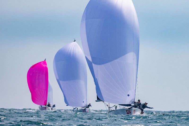 Melges 24 US National Championship 2024 - Santa Barbara - photo © Sharon Green