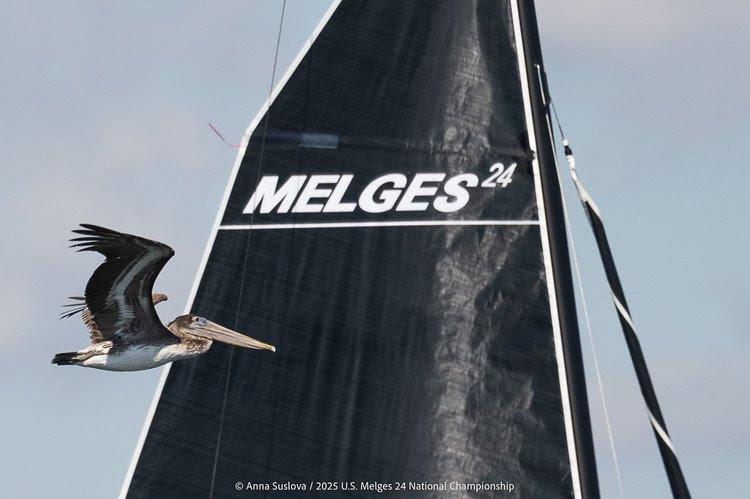 2025 US Melges 24 National Championship Day 2 - Melges 24s in full flight on Pensacola Bay - photo © Anna Susslova / US Melges 24 Class Association