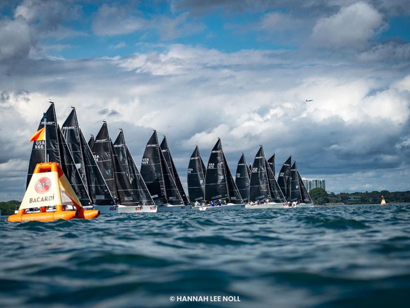 Melges 24 North American Championship 2025, Bacardi Winter Series 2026 Event No 1 - Miami, FL, USA - photo © Hannah Lee Noll