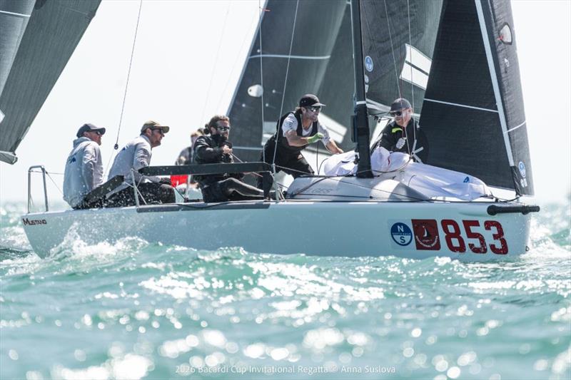 MUSTANG USA853 by Dick Kalow - Bacardi Cup Invitational Regatta 2026 - photo © Anna Suslova