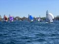 One of the many downwind legs where the fleet followed Chris and Sophie during the Merlin Rocket Silver Tiller and SW Series event at South Cerney © Paul Kimmens