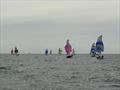 Downwind under spinnaker during the Merlin Rocket Women's Championship at Brightlingsea © Andy Bines & Lulu Freeman