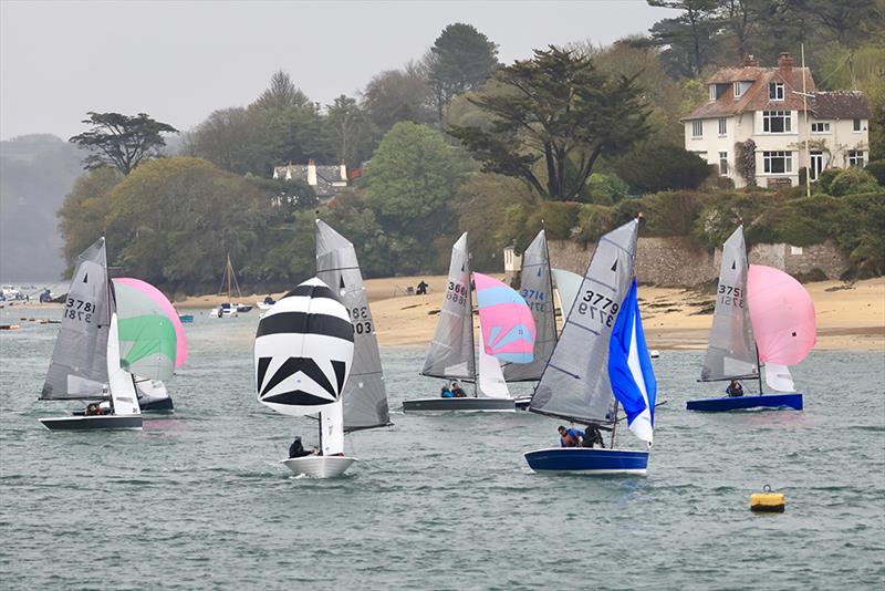 Merlin Rocket South West Series at Salcombe photo copyright Lucy Burn taken at Salcombe Yacht Club and featuring the Merlin Rocket class