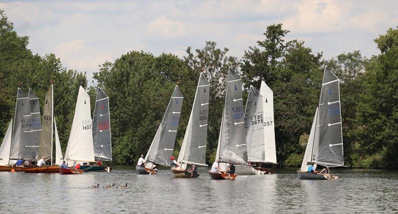 The boats may not be in a line but the geese are during the Tamesis Craftinsure Silver Tiller and Rowsell Sails Thames Series - photo © Caroline Vines