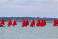 Mirror Southern Championship at Netley &copy; Anna Parker